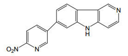 Picture of 7-(6-nitropyridin-3-yl)-5H-pyrido[4,3-b]indole (Custom Volume)