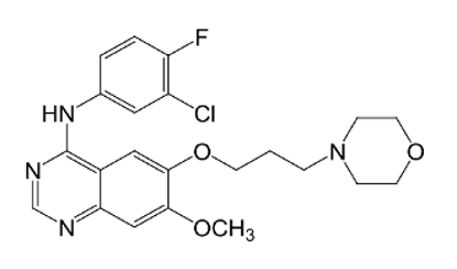Picture of N-(3-chloro-4-fluorophenyl)-7-methoxy -6-(3-morpholinopropoxy)quinazolin-4-amine (2 mg)